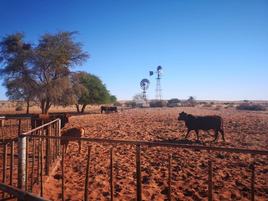 0 Bedroom Property for Sale in Upington Rural Northern Cape